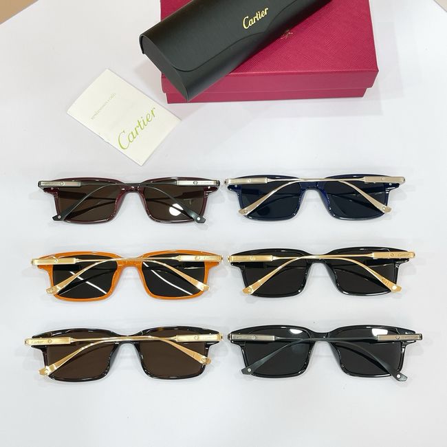 Cartier Sunglasses 821597-6