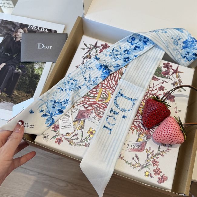 Dior Printed silk twill ribbon KY211-1