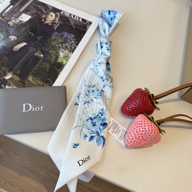 Dior Printed silk twill ribbon KY211-1