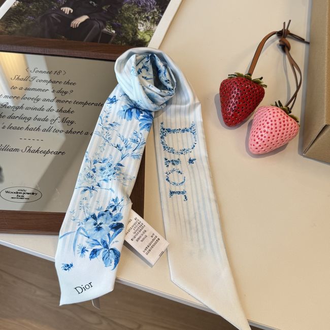 Dior Printed silk twill ribbon KY211-1