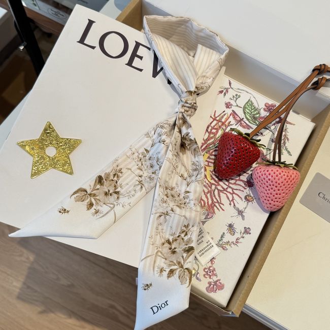 Dior Printed silk twill ribbon KY211-3