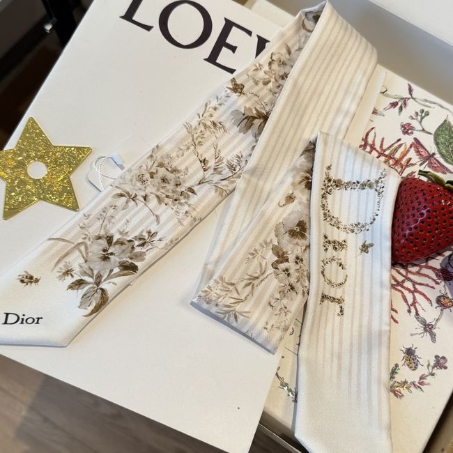 Dior Printed silk twill ribbon KY211-3