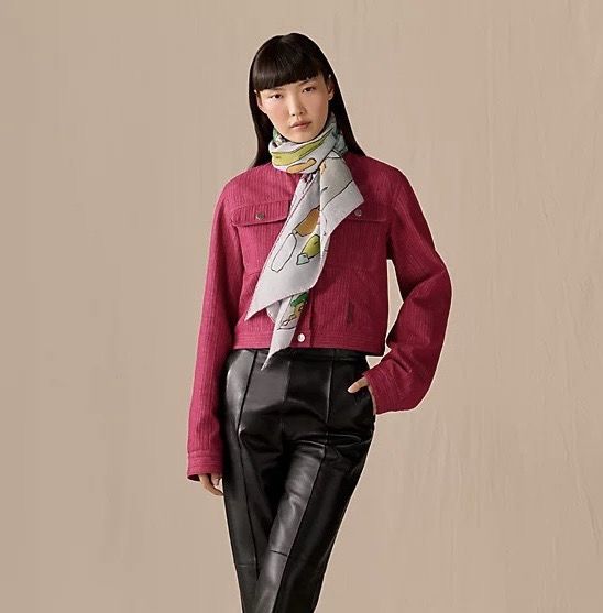 Hermes cashmere scarf H251527-3