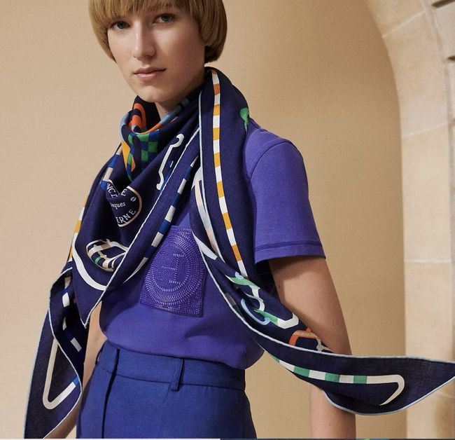 Hermes cashmere scarf H251528-2