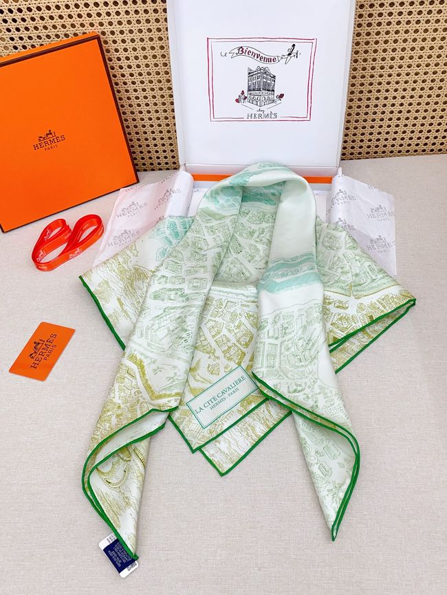 Hermes cashmere scarf H251529-2