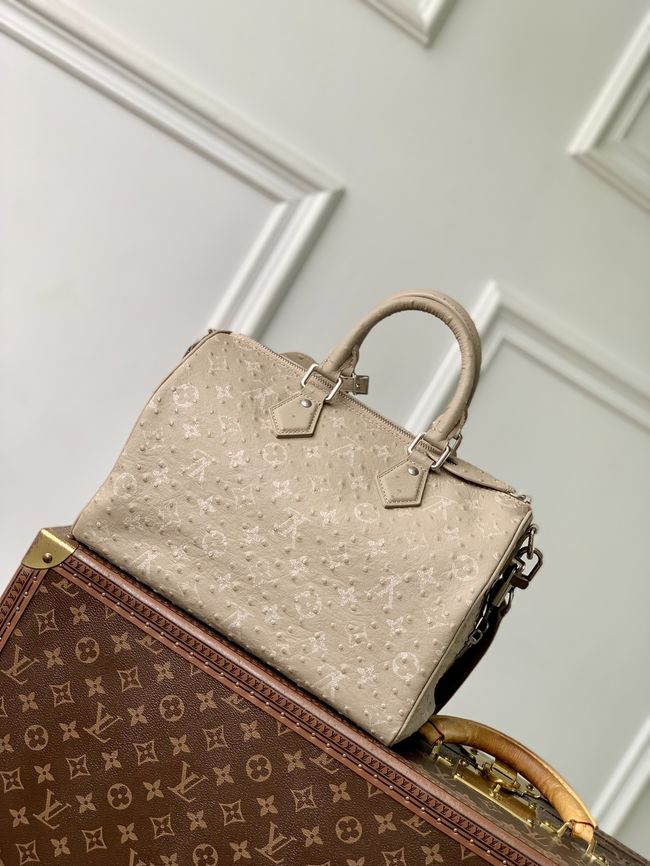 Louis Vuitton Runway Speedy P9 Bandouliere 30 M24425 Dark Beige