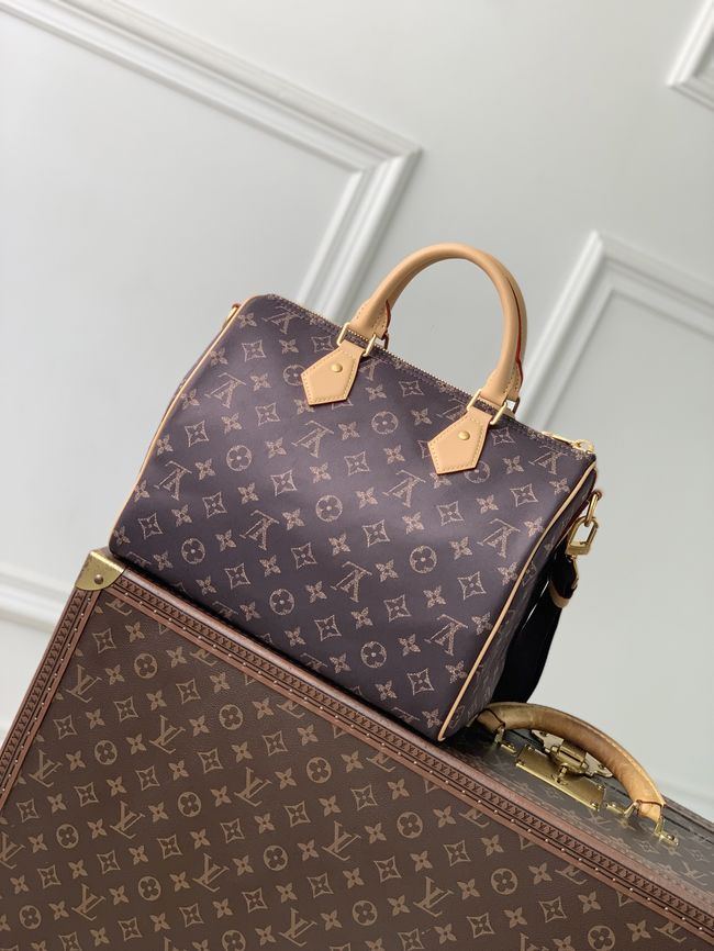 Louis Vuitton Speedy 30 Bandouliere Louis Vuitton Silk Tech M2A454 brown