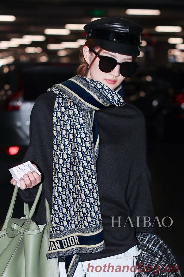 Dior Scarf DIC00250