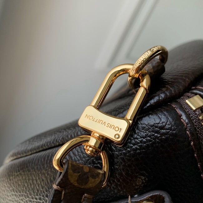 Louis Vuitton NEW Express MM M26359 Saga&Acajou