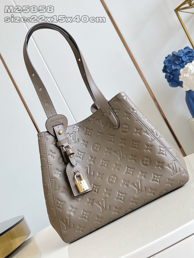 Louis Vuitton NEW All In One PM M25890 Smoke
