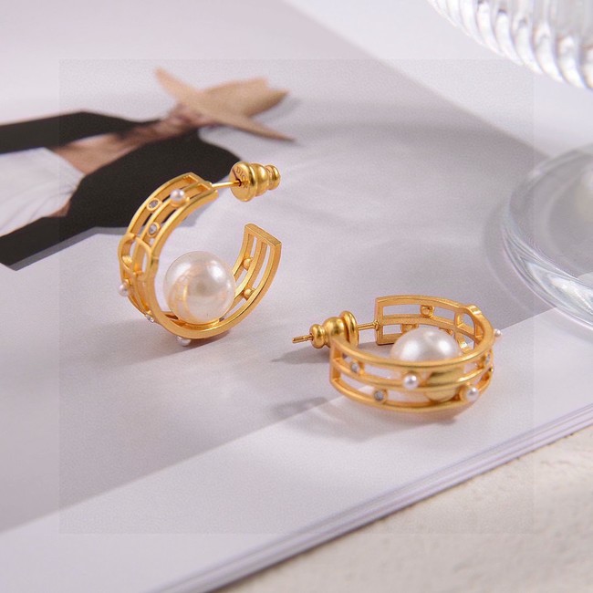 Dior Earring CE81697